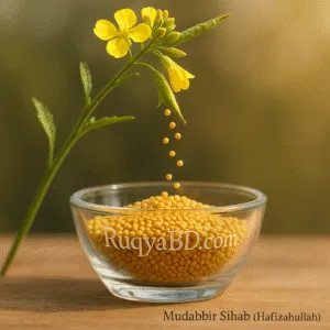 সর্ষে